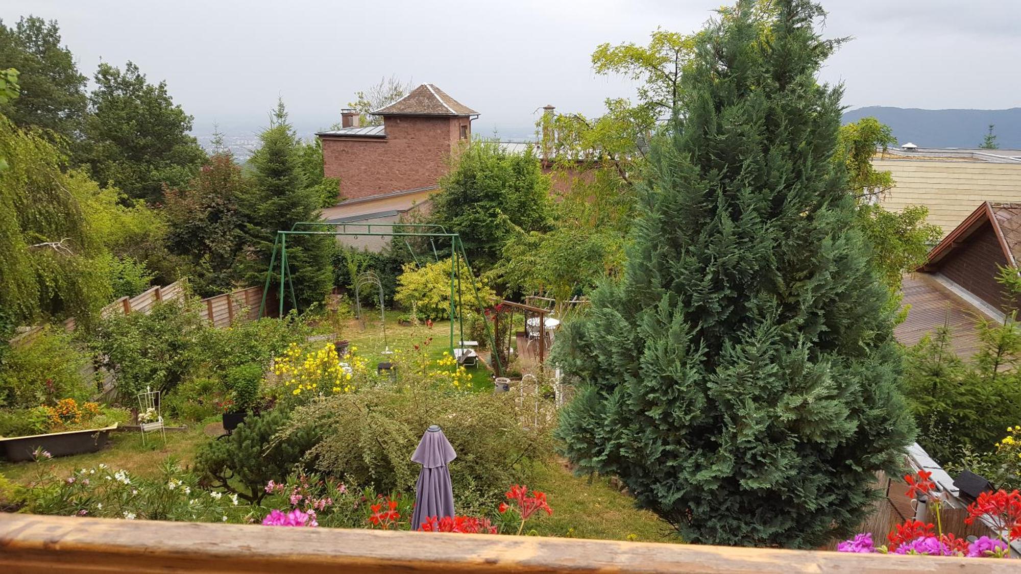 Les Iris Chambres D'Hote Niedermorschwihr Номер фото